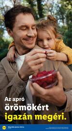 Lidl akciós újság hét 39 Oldal 2