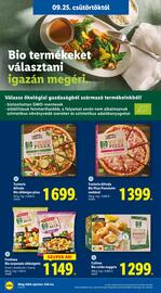 Lidl akciós újság hét 39 Oldal 22