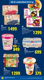 Lidl akciós újság hét 39 Oldal 24