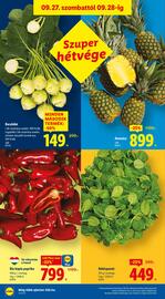 Lidl akciós újság hét 39 Oldal 40