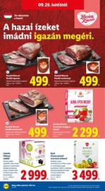 Lidl akciós újság hét 39 Oldal 58