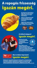 Lidl akciós újság hét 39 Oldal 65