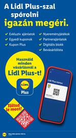 Lidl akciós újság hét 39 Oldal 66