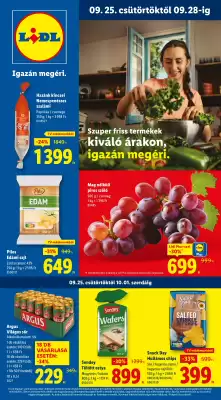 Lidl akciós újság (érvényes eddig: 1-10)