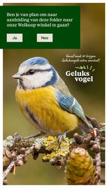 Welkoop folder Pagina 34