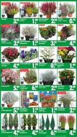 Wreesmann Prospekt woche 39 Seite 3