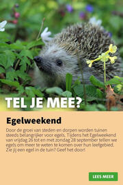 Intratuin folder week 39 Pagina 10