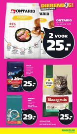 Ranzijn folder Pagina 9
