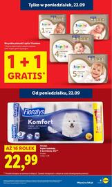 Lidl gazetka Strona 13