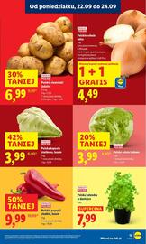 Lidl gazetka Strona 19