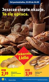 Lidl gazetka Strona 22