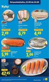 Lidl gazetka Strona 27