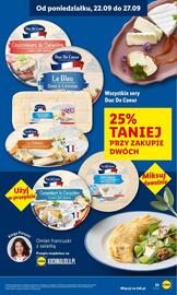 Lidl gazetka Strona 31