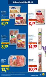 Lidl gazetka Strona 33