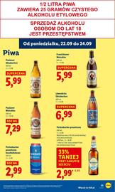 Lidl gazetka Strona 41