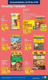 Lidl gazetka Strona 43