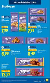 Lidl gazetka Strona 45