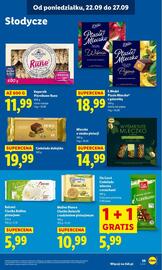 Lidl gazetka Strona 47
