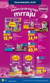 Lidl gazetka Strona 62