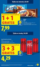Lidl gazetka Strona 7