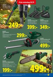 Lidl reklamblad vecka 39 Sida 17
