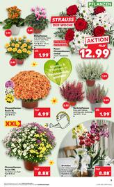 Kaufland Prospekt woche 39 Seite 5