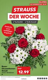 Kaufland Prospekt woche 39 Seite 51