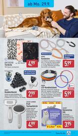Aldi Nord Prospekt woche 40 Seite 19