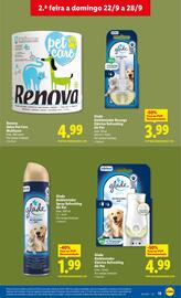 Folheto Lidl Página 13