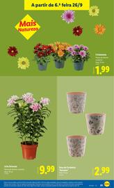 Folheto Lidl Página 25
