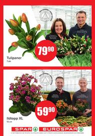 Spar uke 39 Side 15