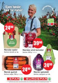 Spar uke 39 Side 2
