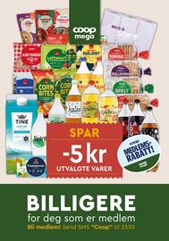 Coop Mega kundeavis uke 39 Side 12