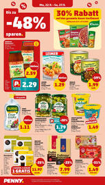 PENNY Prospekt woche 39 Seite 16