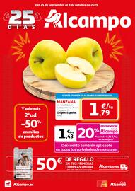 Folleto Alcampo Página 1