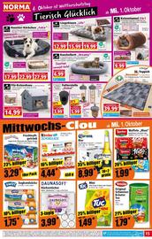 Norma Prospekt woche 40 Seite 16