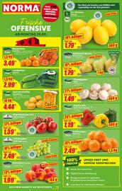Norma Prospekt woche 40 Seite 2