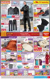 Norma Prospekt woche 40 Seite 6