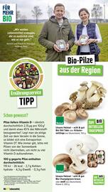 Scheck-in-Center Prospekt woche 39 Seite 38