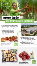 Scheck-in-Center Prospekt woche 39 Seite 39