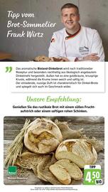 Scheck-in-Center Prospekt woche 39 Seite 41