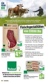 Scheck-in-Center Prospekt woche 39 Seite 42