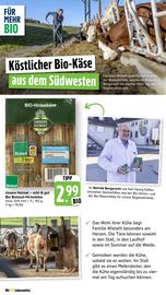 Scheck-in-Center Prospekt woche 39 Seite 46