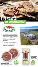 Scheck-in-Center Prospekt woche 39 Seite 51