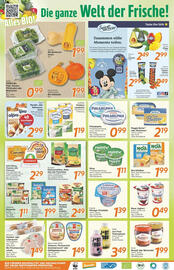Inkoop Prospekt woche 39 Seite 2