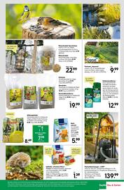 BayWa Prospekt woche 39 Seite 19