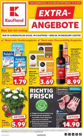 Kaufland Prospekt woche 39 Seite 1
