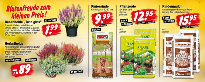 Repo Markt Prospekt woche 39 Seite 6
