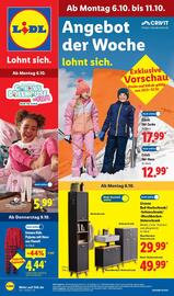 Lidl Prospekt woche 41 Seite 1