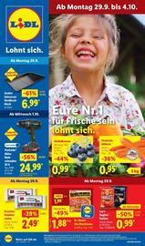 Lidl Prospekt woche 40 Seite 1